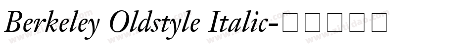 Berkeley Oldstyle Italic字体转换